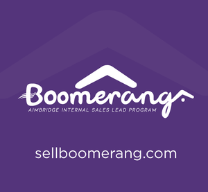 Boomerang Mouse Pad